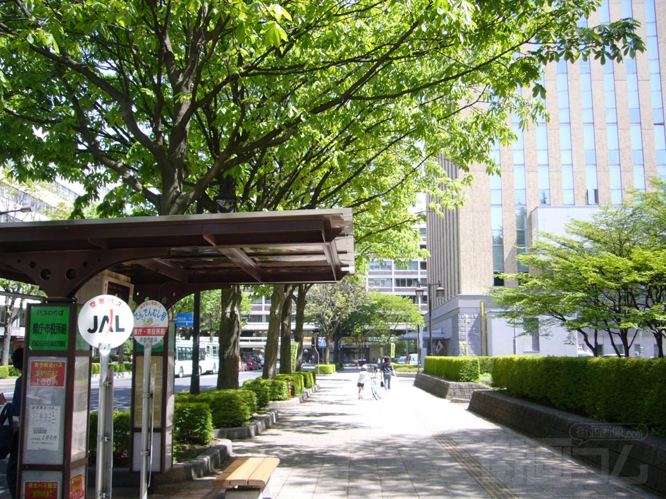 中央通り
