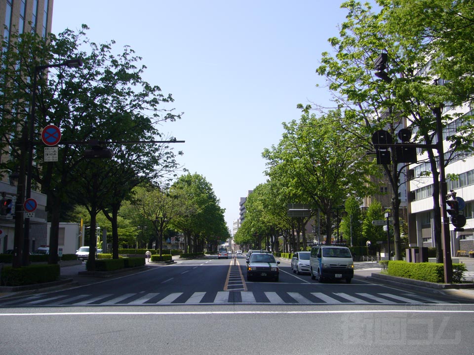 中央通り