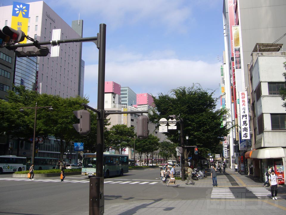 青葉通り写真画像
