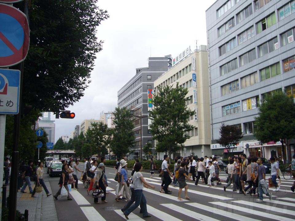 愛宕上杉通り写真画像