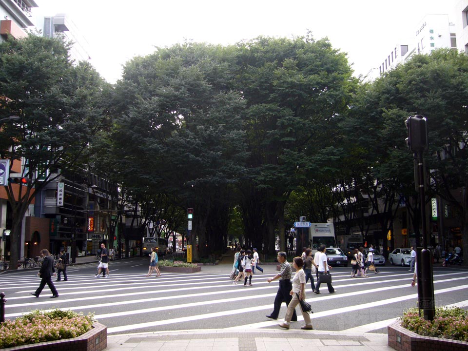 定禅寺通り写真画像