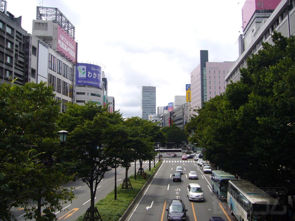 青葉通り