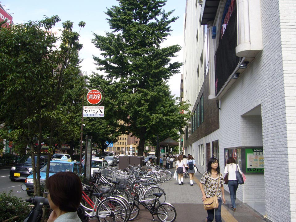 広瀬通り