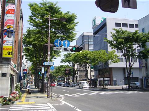 信夫通り(国道１３号線)写真画像