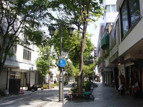 パセオ４７０写真画像
