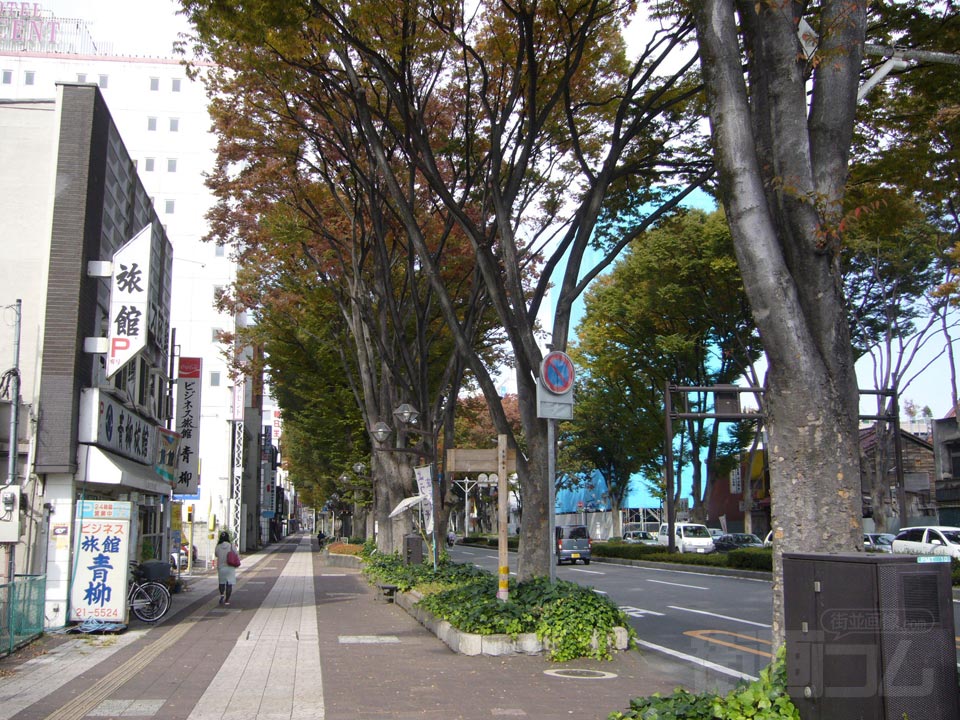 けやき通り写真画像