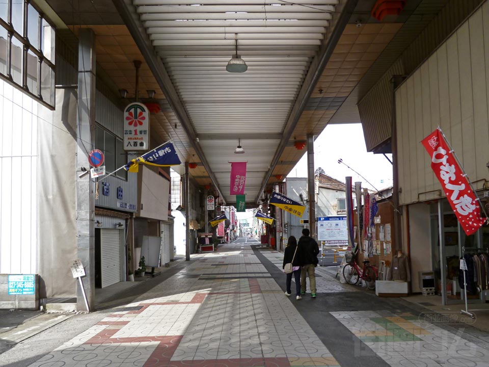 中央銀座通り写真画像