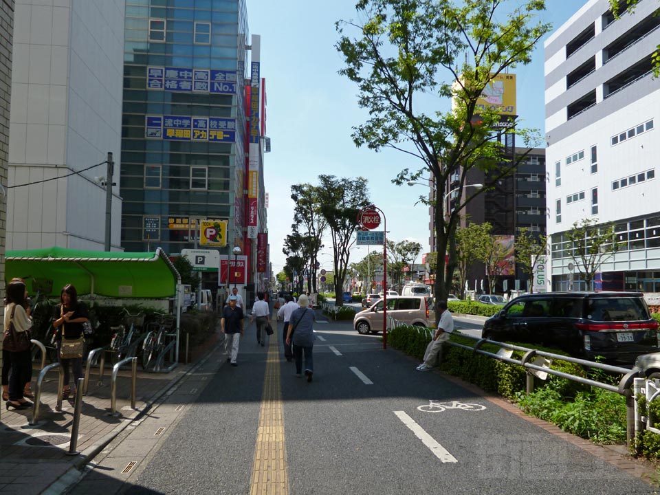 ふじ通り写真画像