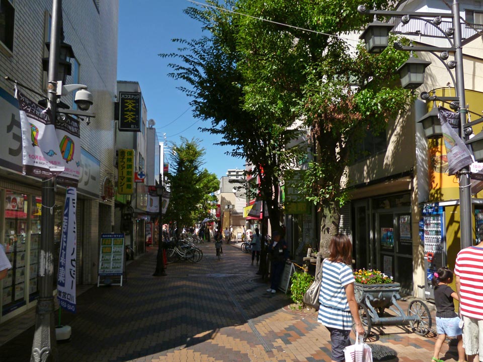 川口銀座通り商店街(樹モール)