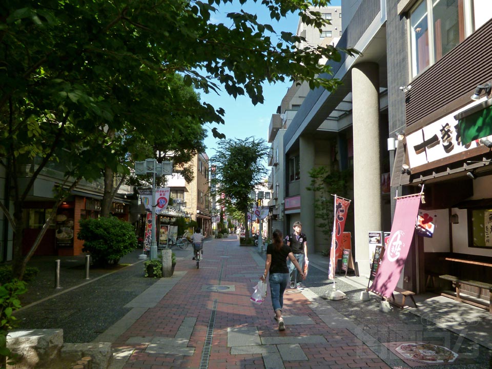 ふじの市商店街