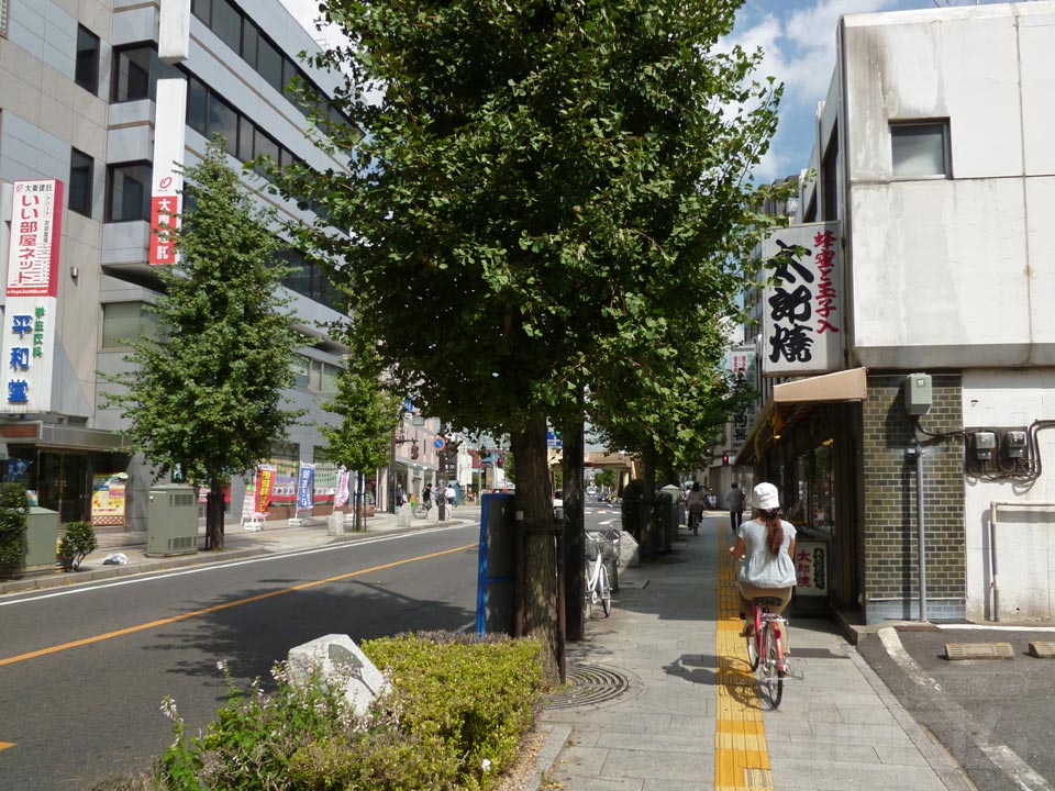市役所前中央通り