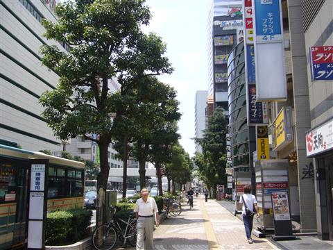 三橋中央通り写真画像