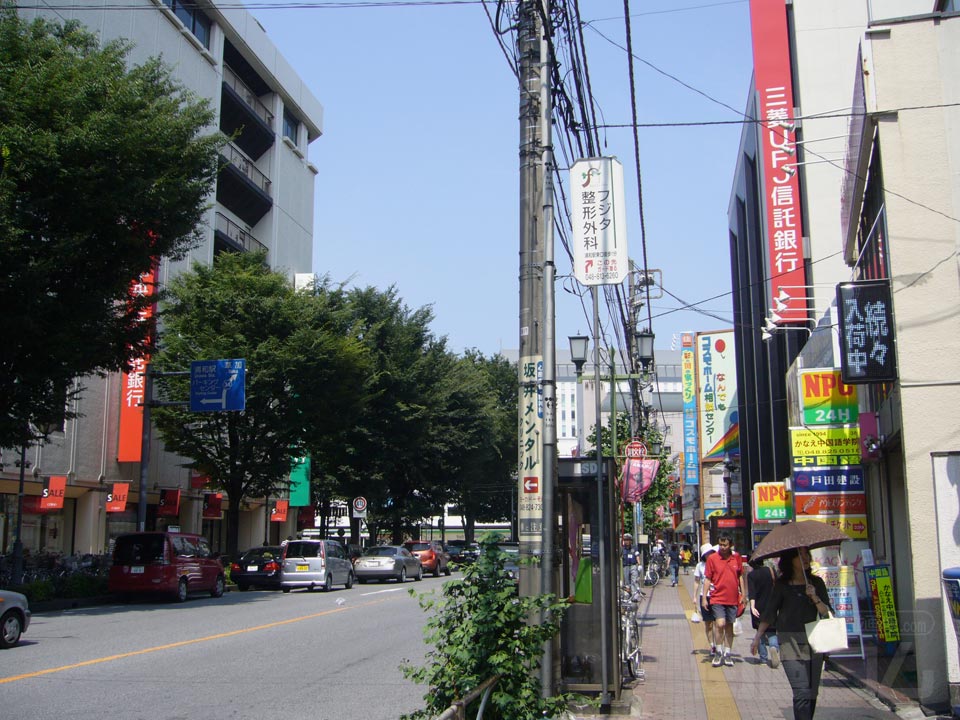 県庁通り写真画像