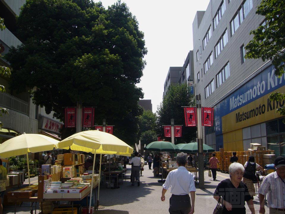 さくら草通り写真画像