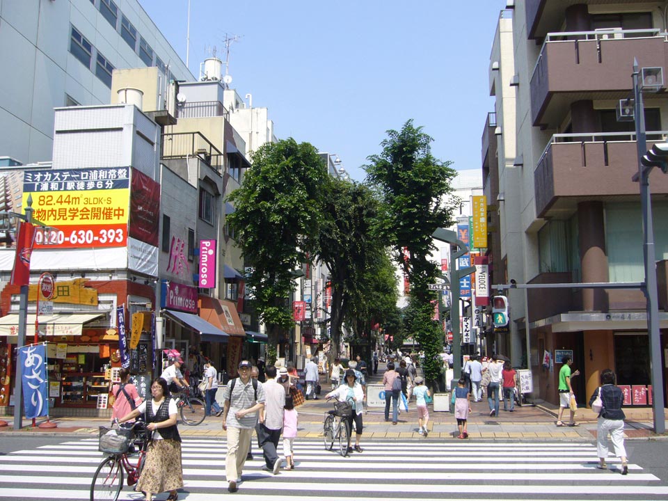 さくら草通り写真画像