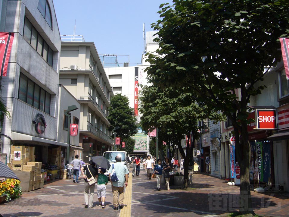 さくら草通り写真画像