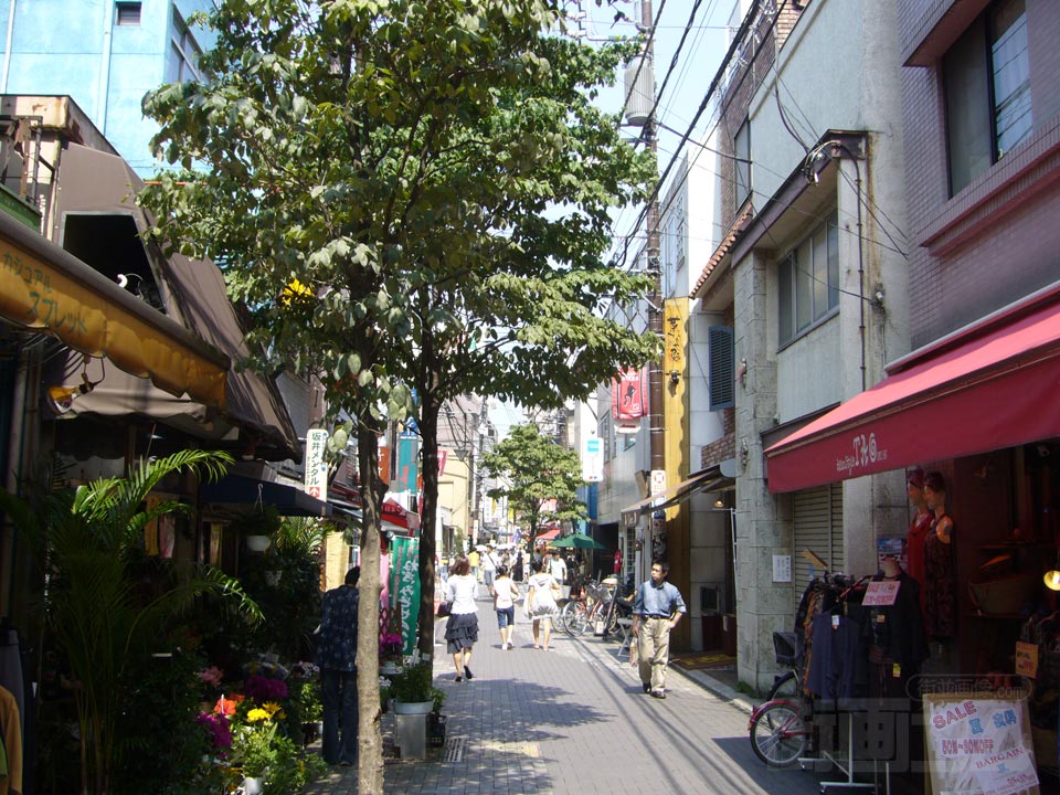 なかまち通り写真画像