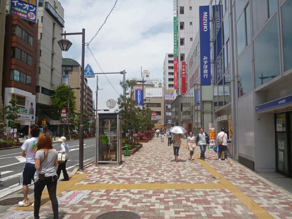 県道264号線