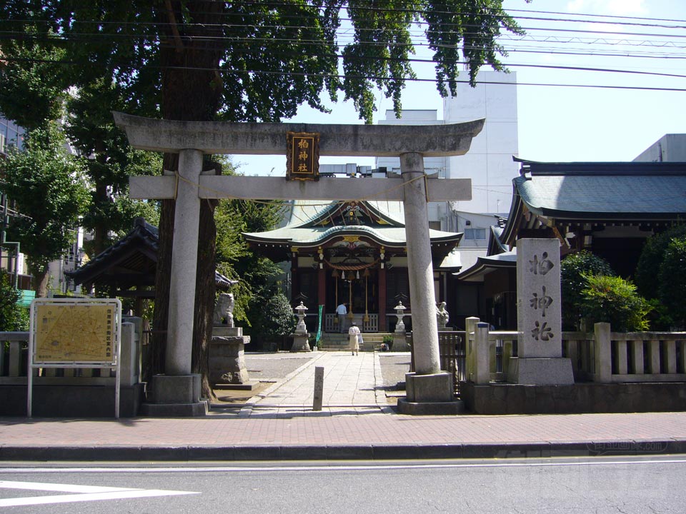 柏神社写真画像