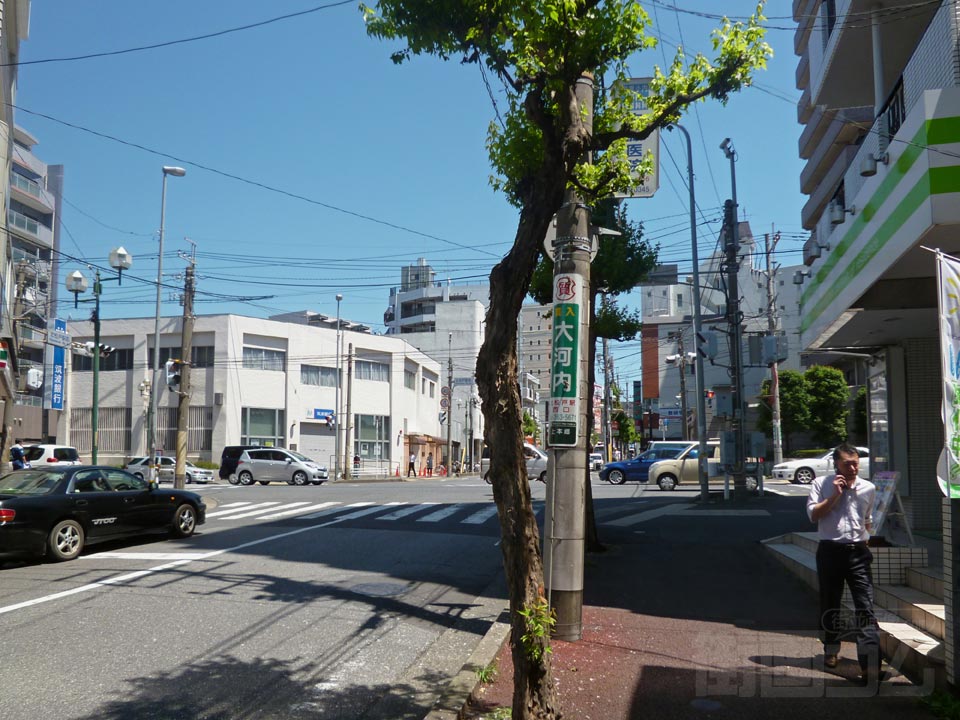 トウカエデ通り