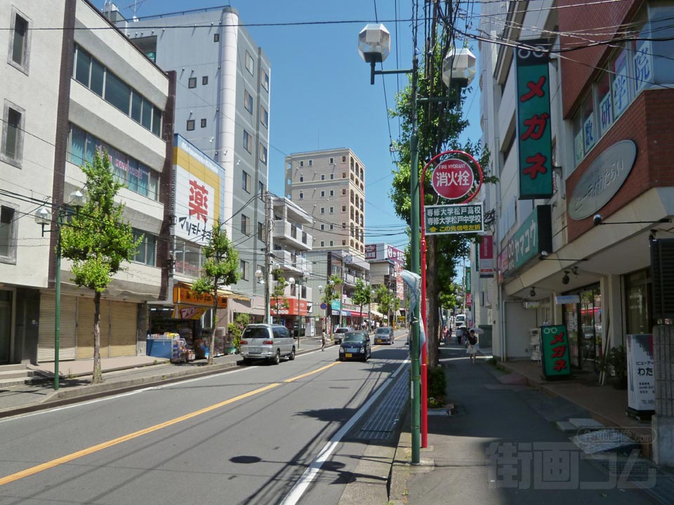 トウカエデ通り