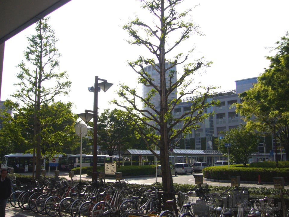 JR新浦安駅南口写真画像