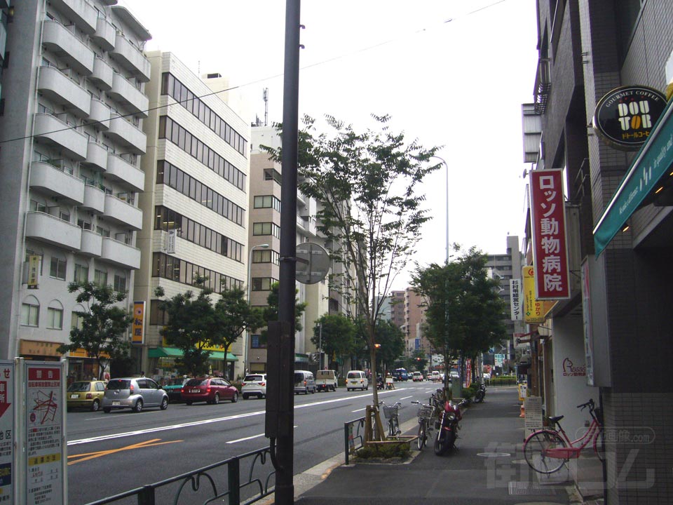 靖国通り写真画像