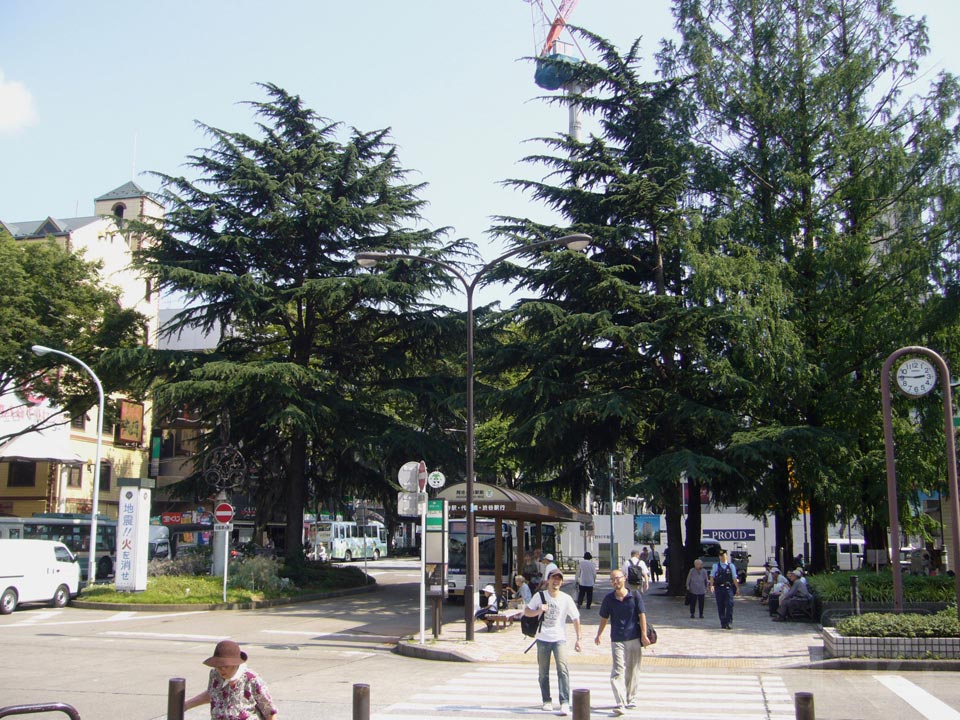 JR阿佐ヶ谷駅南口