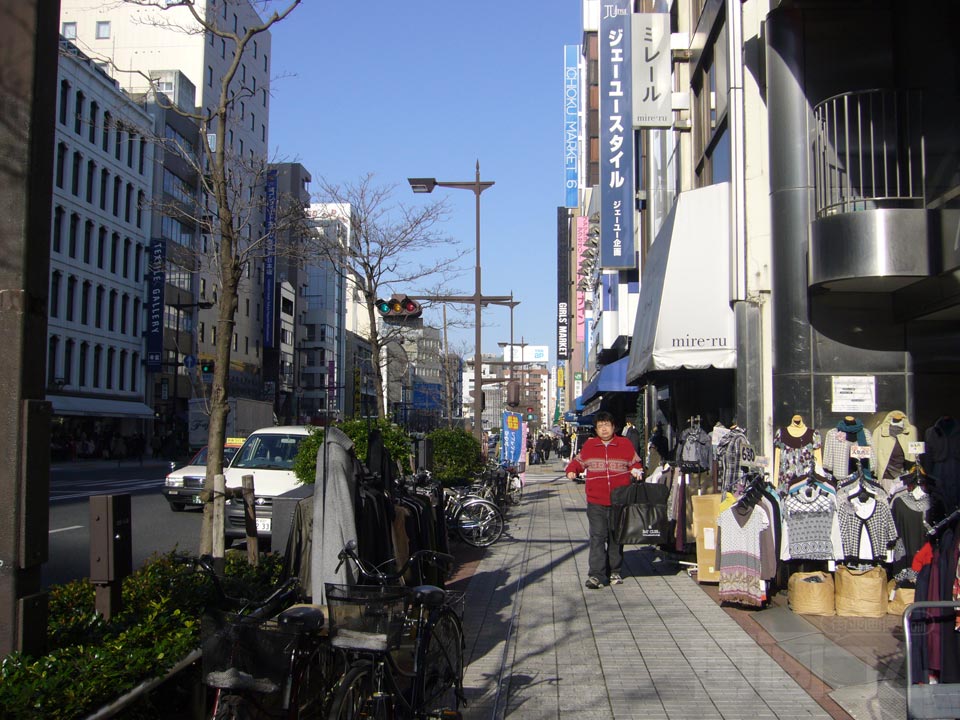 江戸通り写真画像