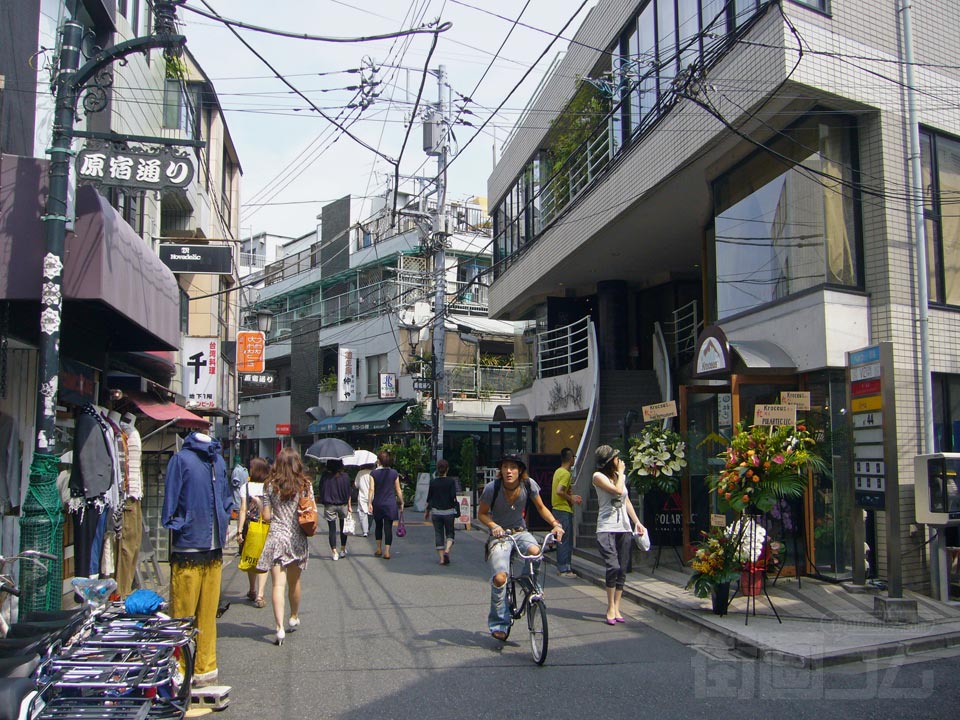 原宿通り写真画像