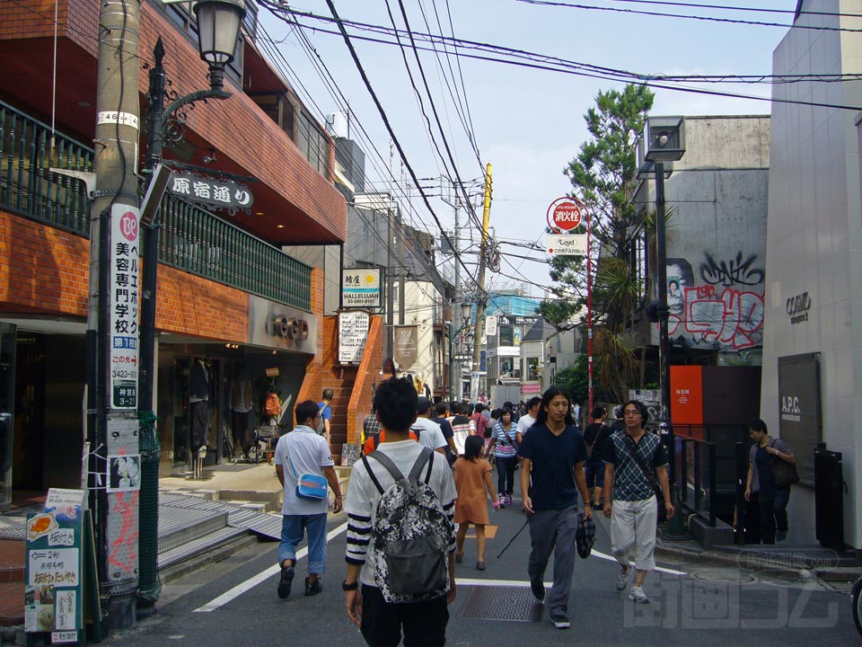 原宿通り写真画像