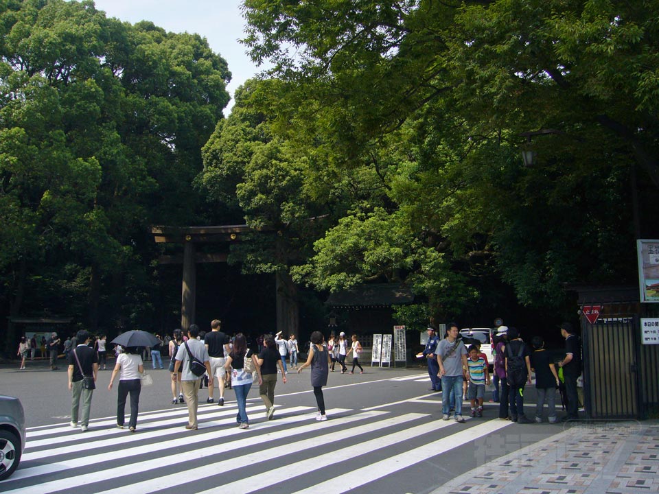 明治神宮南参道写真画像