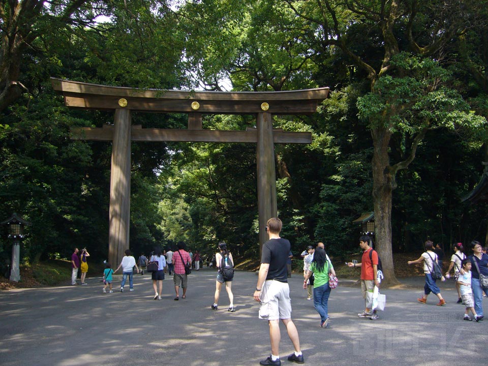 明治神宮南参道写真画像