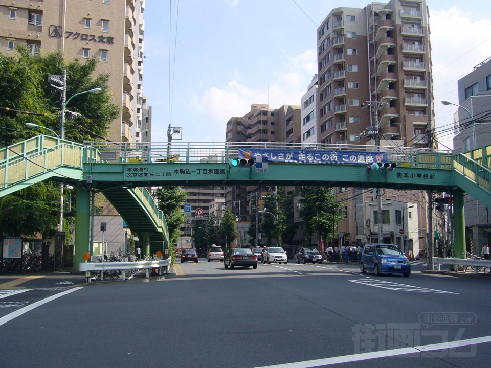 本郷通り