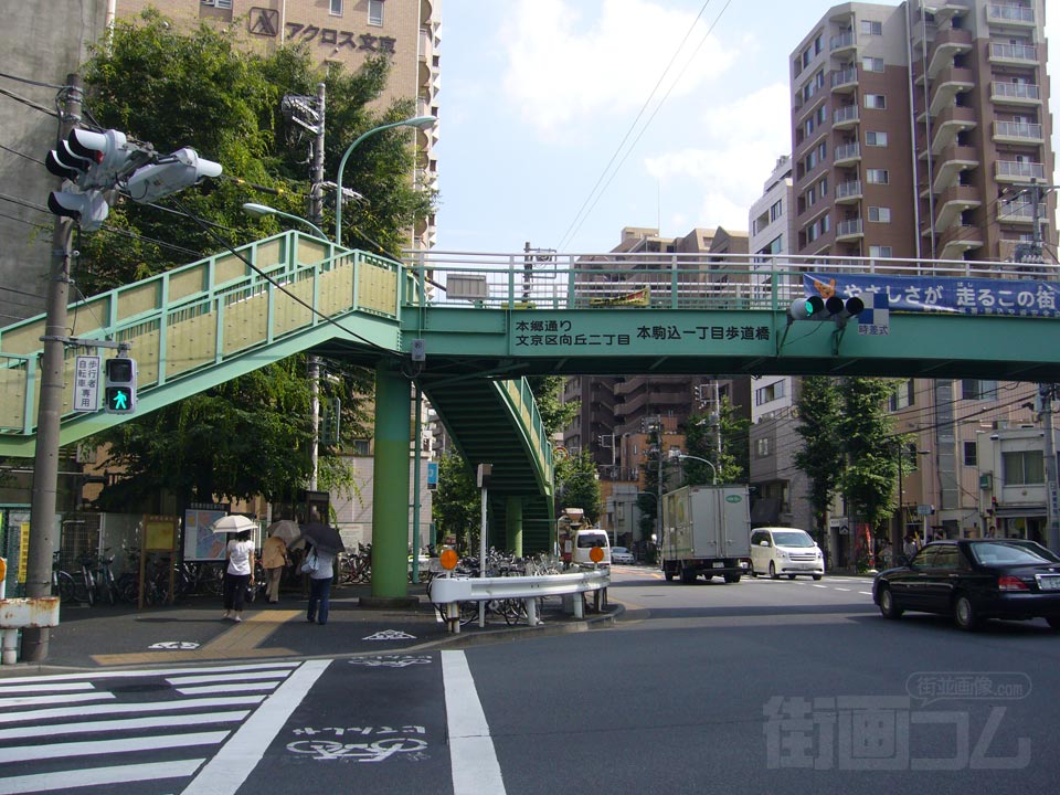 本郷通り