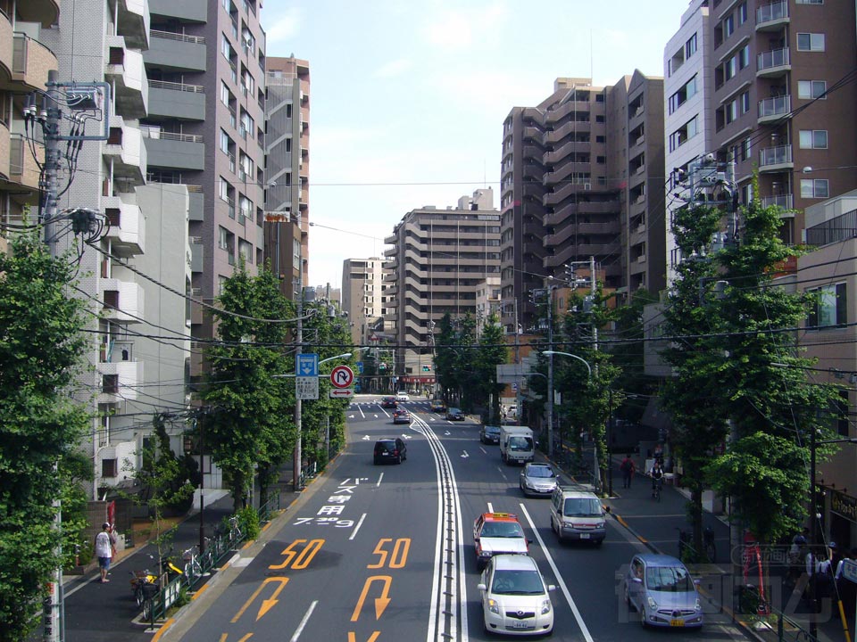 本郷通り