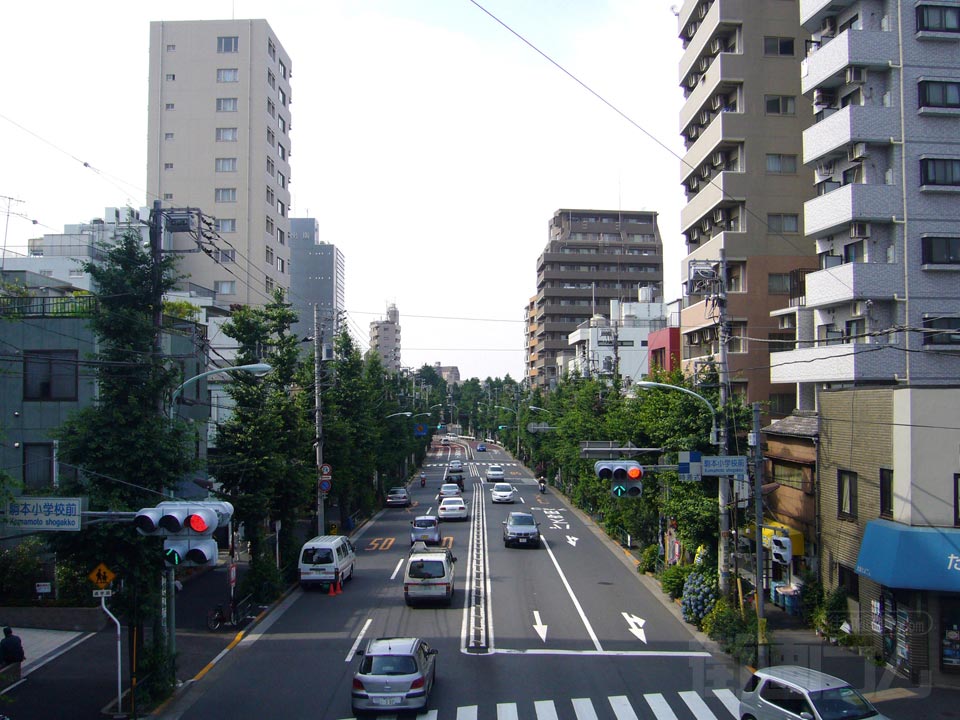 本郷通り