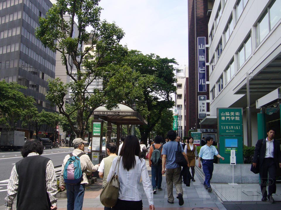 靖国通り写真画像
