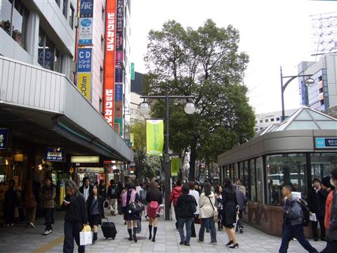 グリーン大通り写真画像