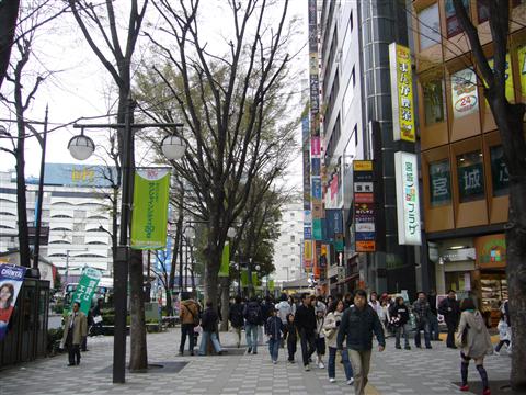 グリーン大通り写真画像