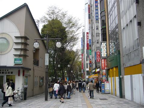 グリーン大通り写真画像