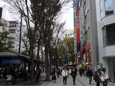 グリーン大通り写真画像