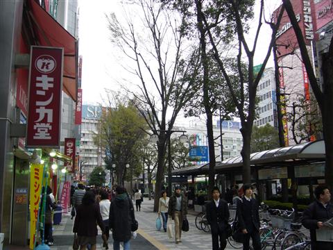 グリーン大通り写真画像