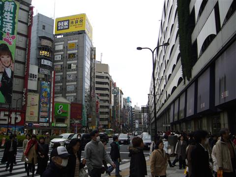 明治通り写真画像