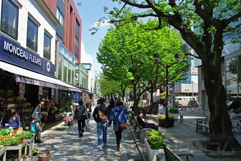 グリーンストリート(九品仏川緑道)