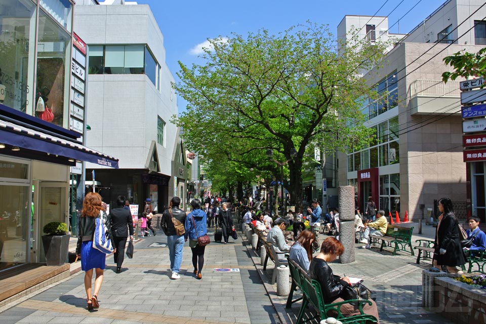 グリーンストリート(九品仏川緑道)