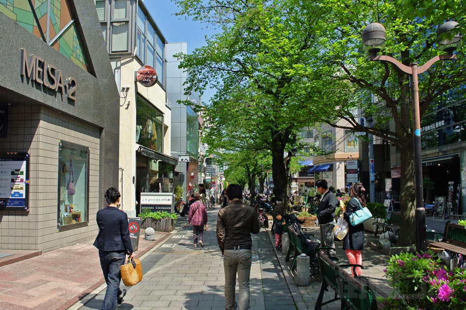 グリーンストリート(九品仏川緑道)