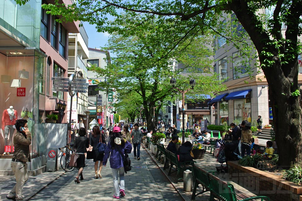 グリーンストリート(九品仏川緑道)
