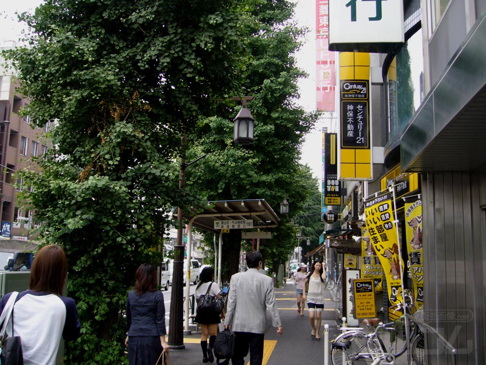 目白通り写真画像