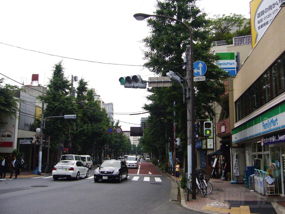 目白通り写真画像